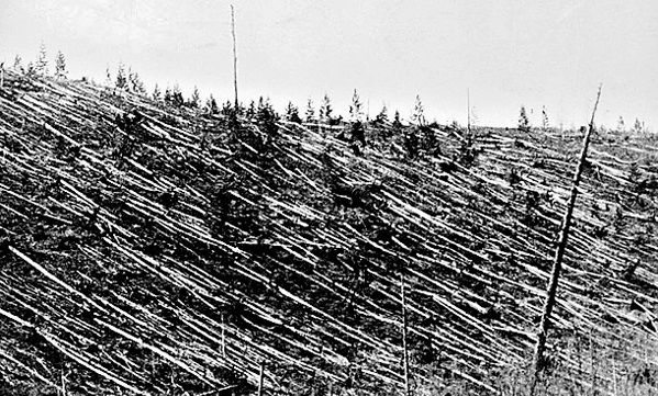 Tunguska 1