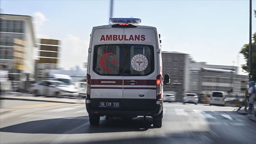 Topladıkları mantarları yediler, hastanelik oldular