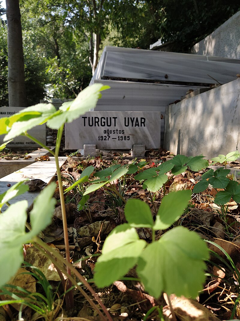 Turgut Uyar 2