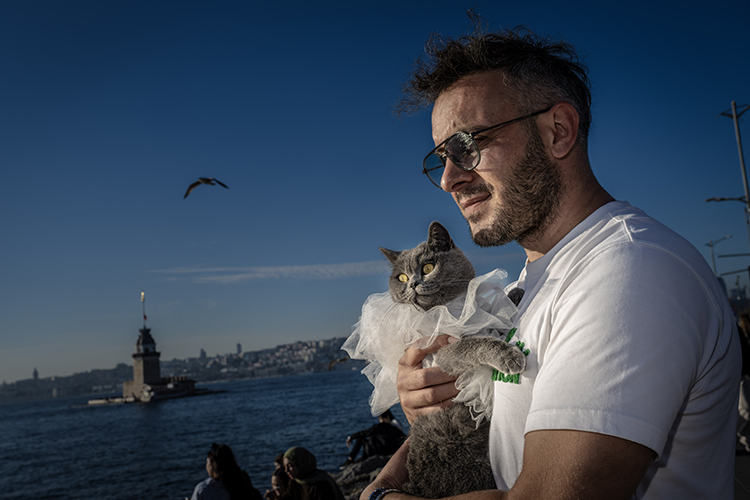 2025 11 20112025 Gofret6