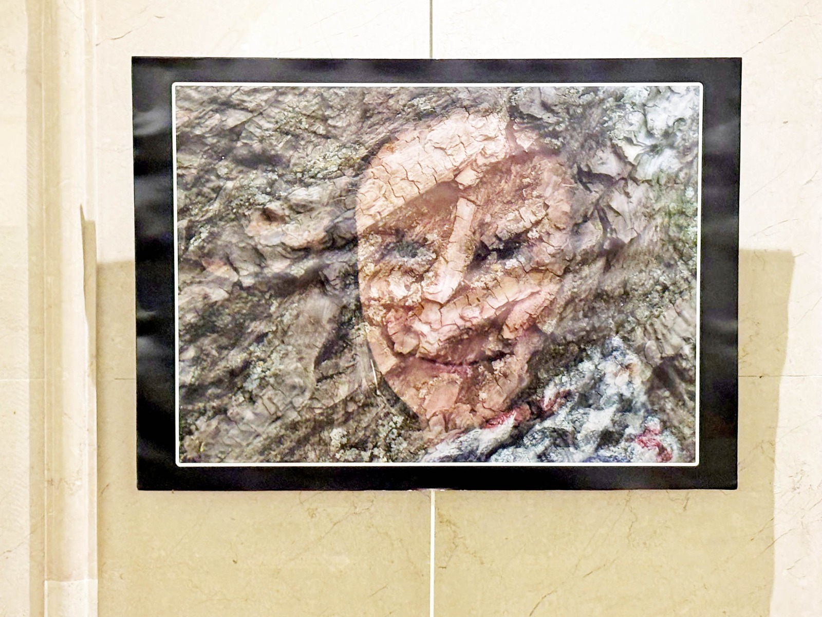 52047037 8Cf5 47Ff A493 789Ba0De77Ca