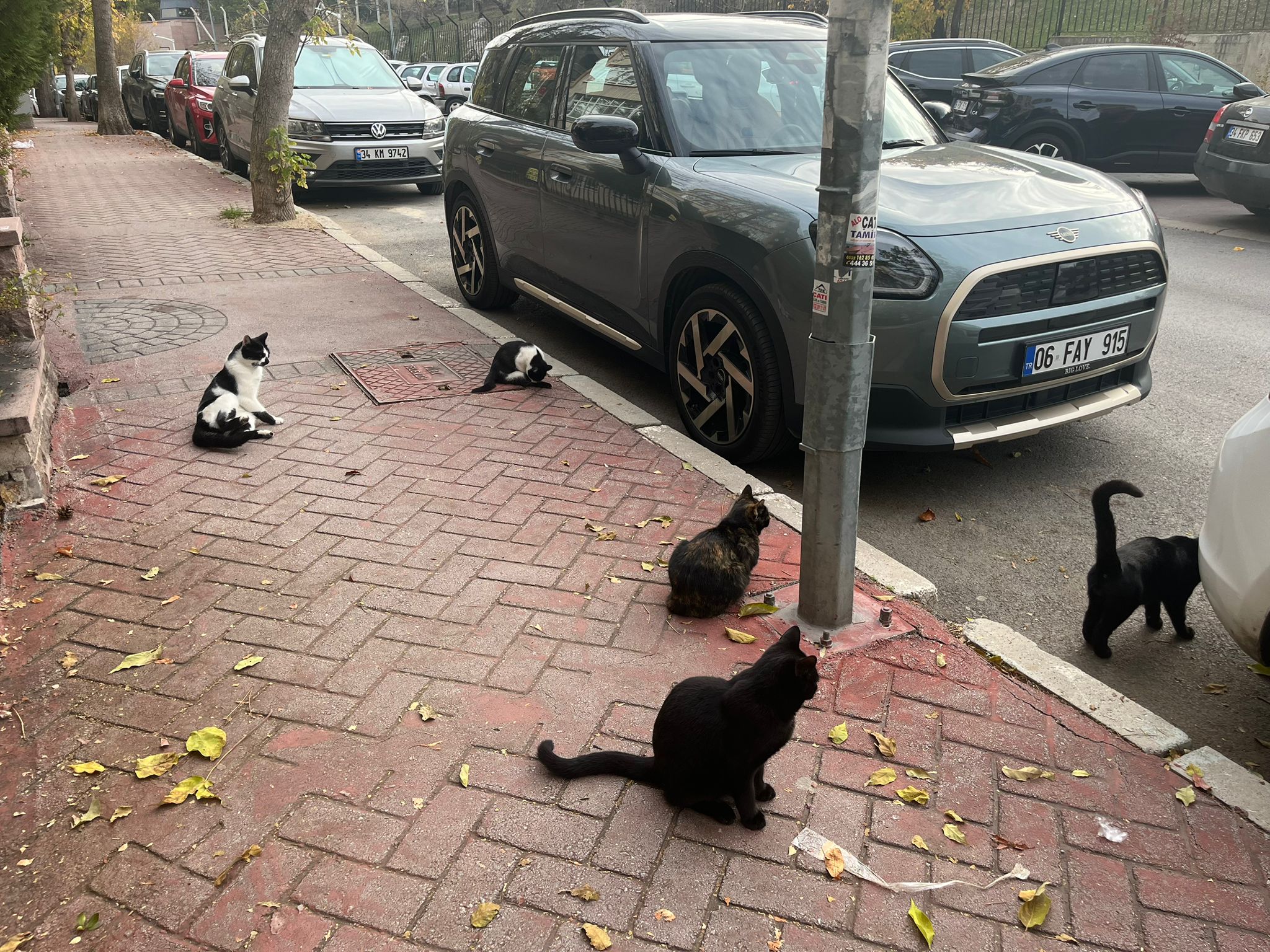 P H O T O 2025 11 07 10 26 36