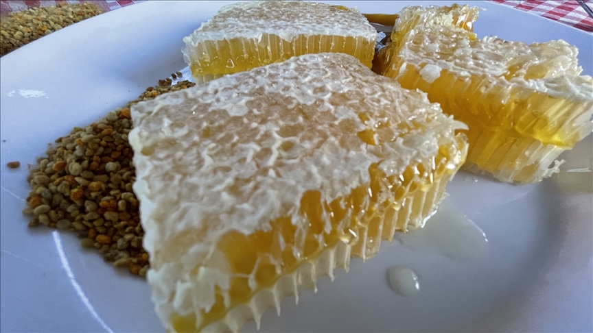 Thumbs B C 392Ce7E102F85B45F5D3233D4C1Fc0A0