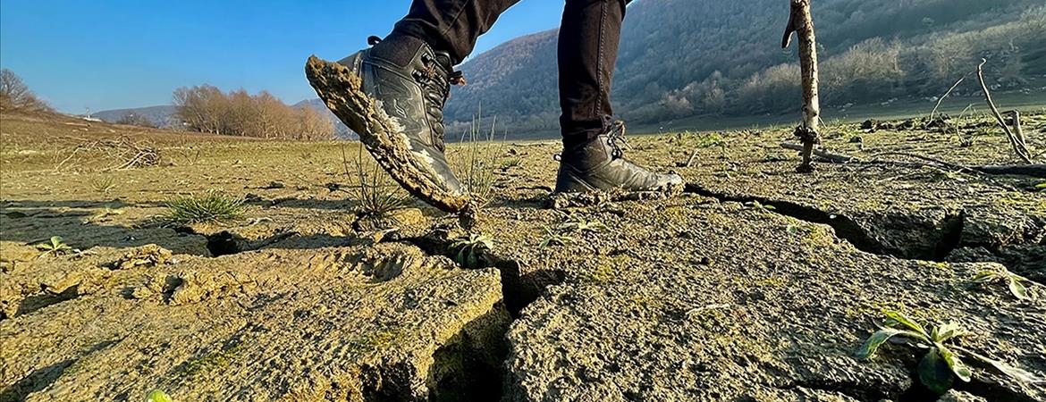 Thumbs B C 5F501Db3Ccc7E66Cbeb2270C6191A715