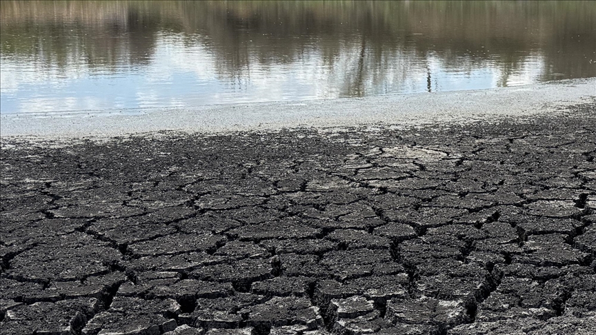 Thumbs B C C75503327909A5D00F7D4392926724Eb