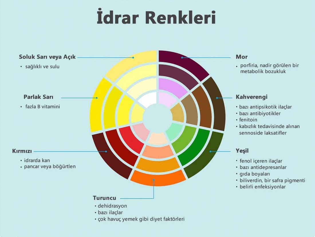 Whatsapp Görsel 2025 11 11 Saat 13.16.29 74725C23