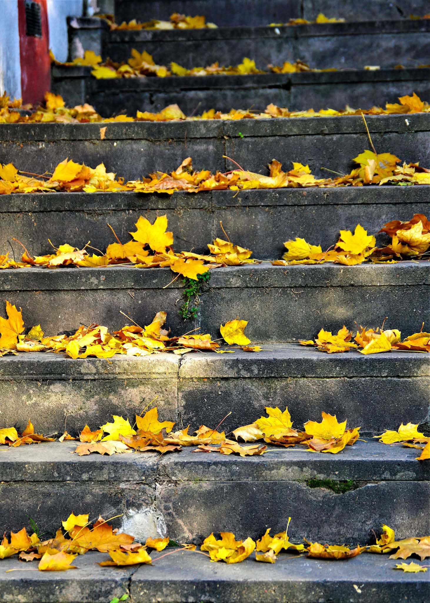 Whatsapp Görsel 2025 11 21 Saat 11.32.39 531F5B33