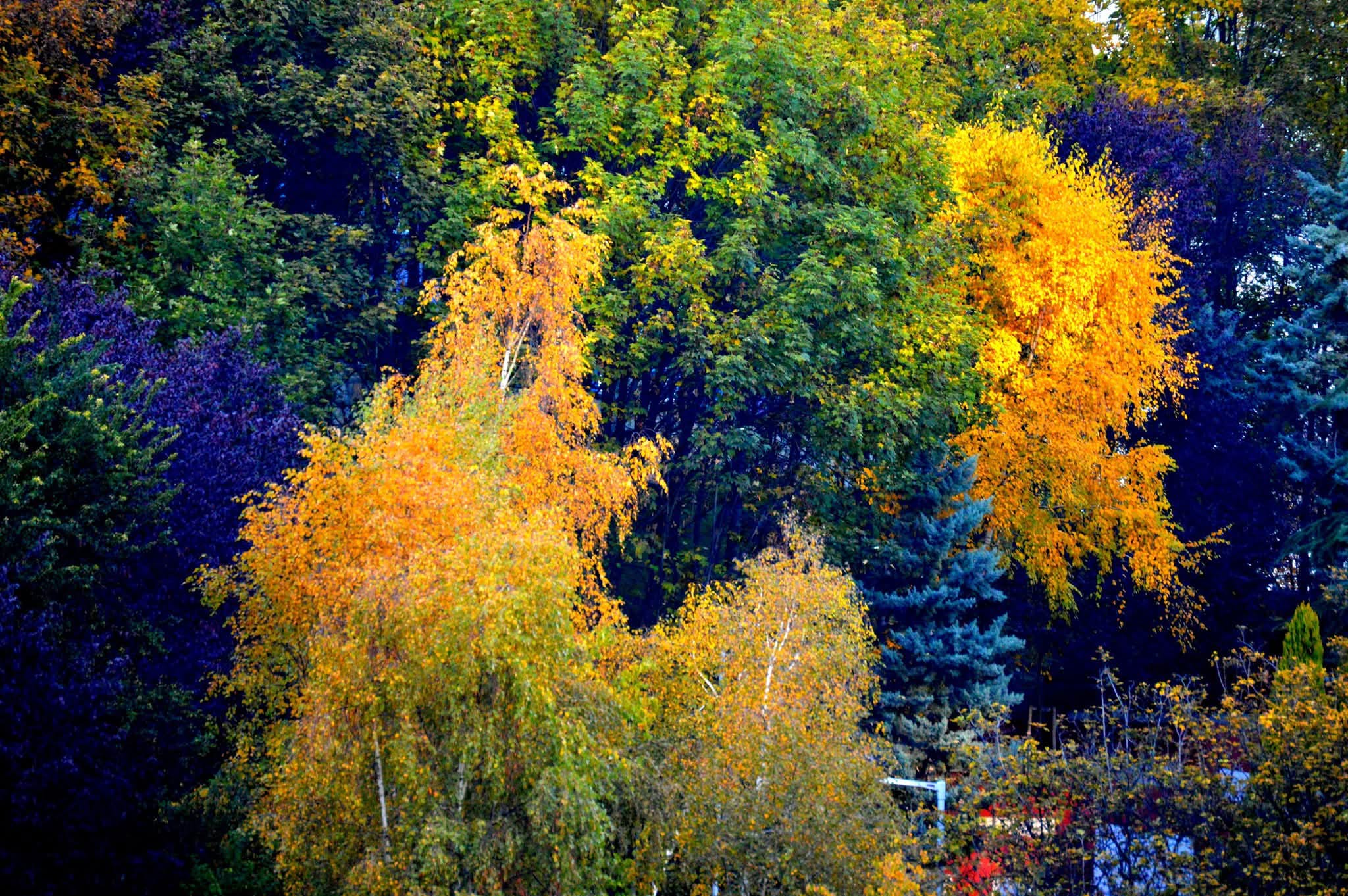 Whatsapp Görsel 2025 11 21 Saat 11.32.39 8077488C