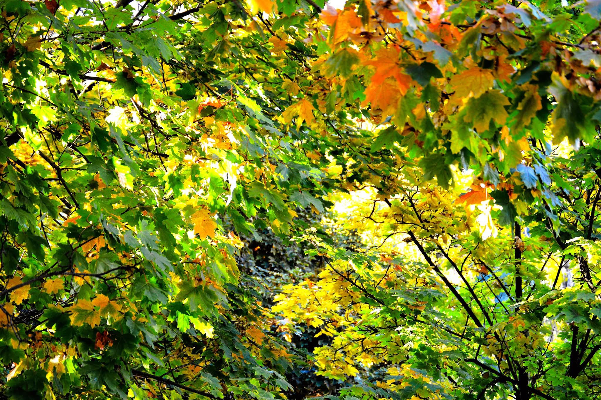 Whatsapp Görsel 2025 11 21 Saat 11.32.40 6D04A3E4