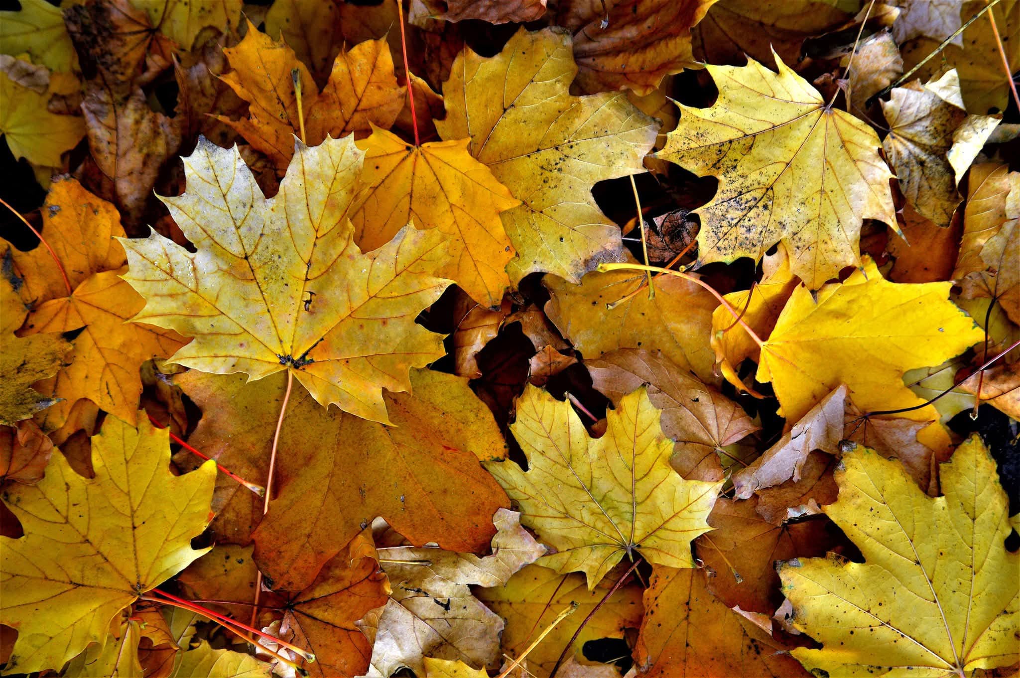 Whatsapp Görsel 2025 11 21 Saat 11.32.40 A34148Aa