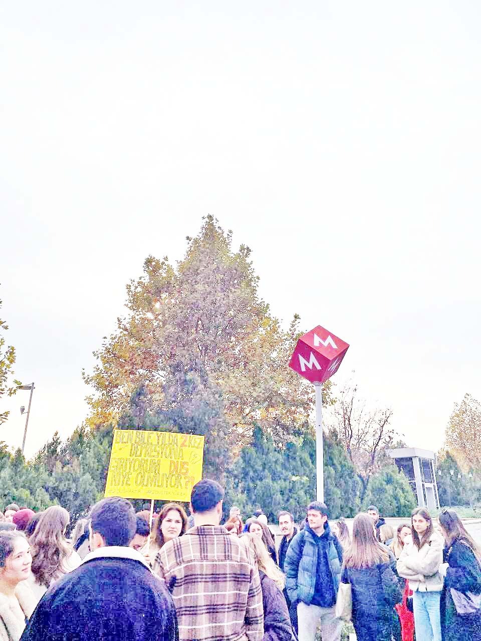 Whatsapp Image 2025 11 20 At 13.50.49