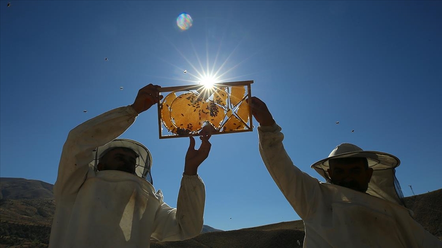 Başkent Üniversitesi, Abb Ve Kahramankazan Belediyesi’nden Arıcılık Paneli3