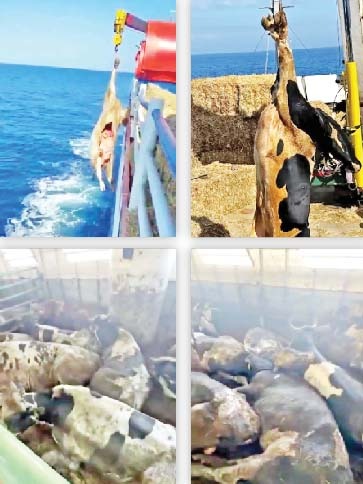 Whatsapp Görsel 2025 12 02 Saat 13.22.37 F1825B31