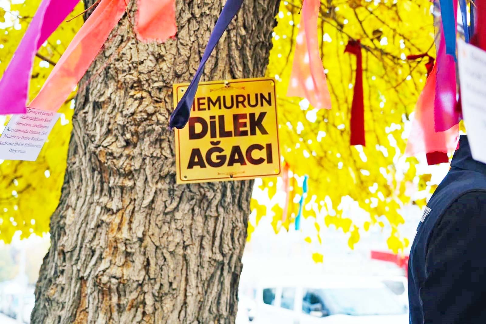 Whatsapp Image 2025 12 04 At 17.52.15 (2)