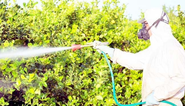 Whatsapp Image 2025 12 05 At 17.52.09 (1)