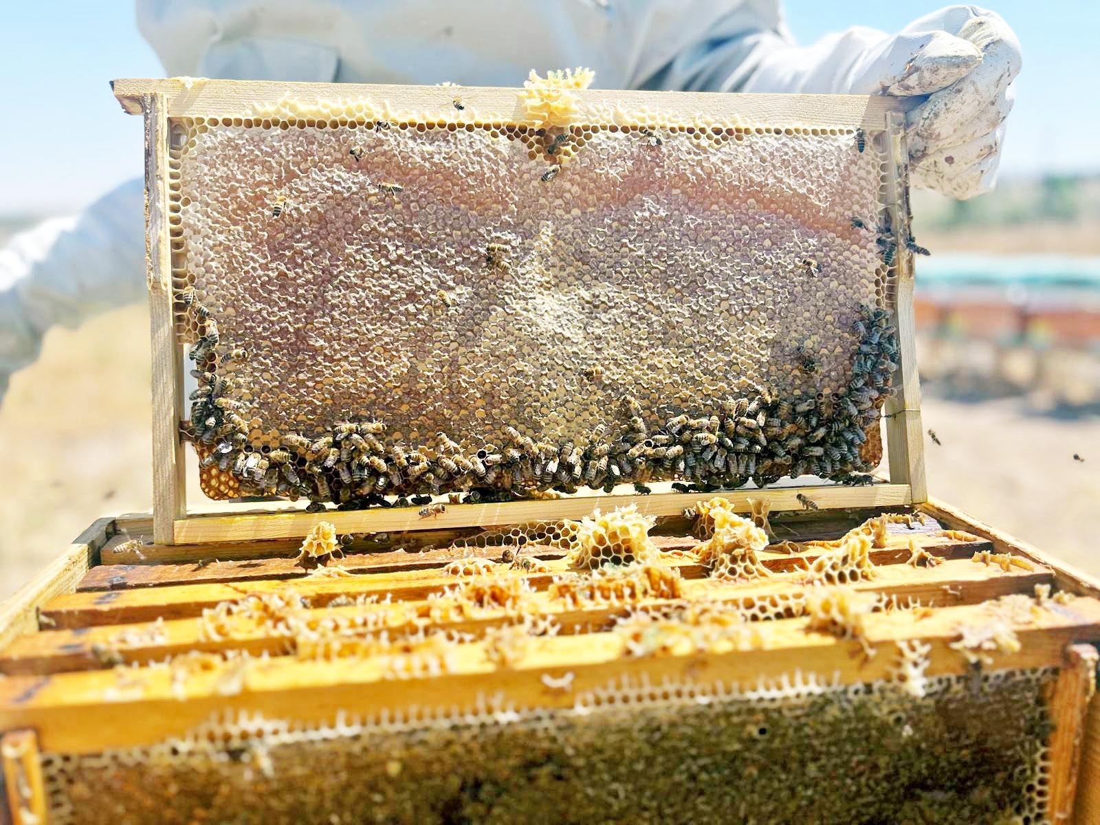 A4Bdfb2D F1E7 4682 9Bd9 5E12A5D9F684