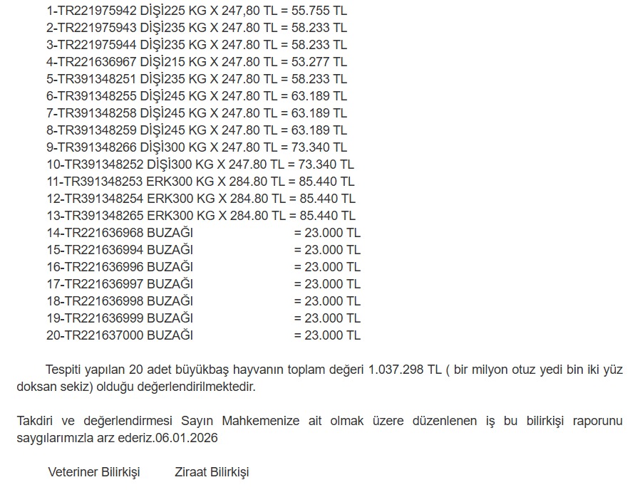 Whatsapp Image 2026 01 09 At 14.04.34 (2)