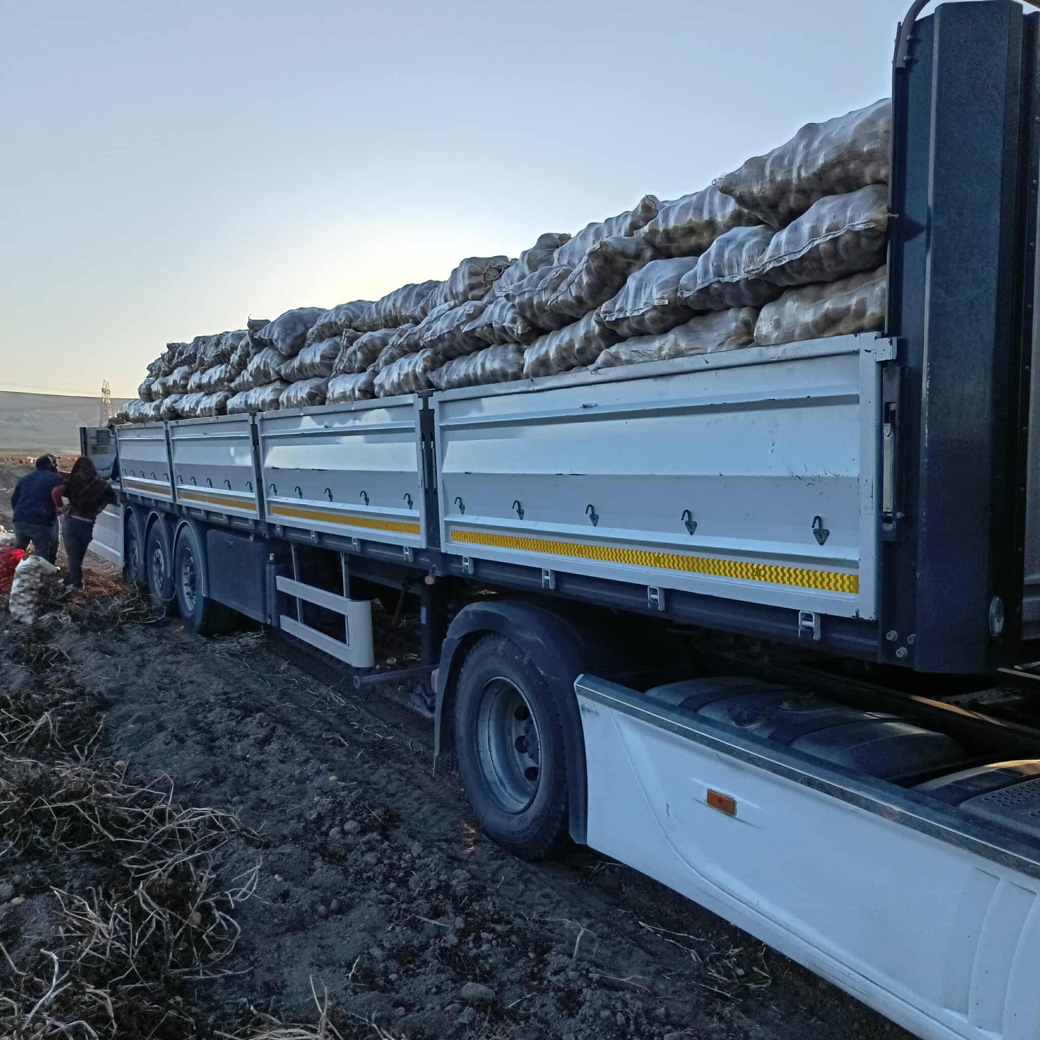 Whatsapp Image 2026 01 10 At 01.07.03