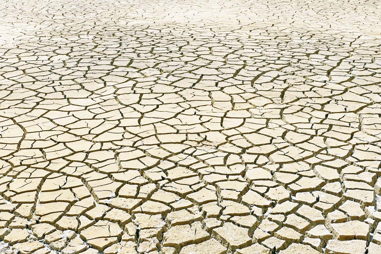 Whatsapp Image 2026 01 26 At 15.39.16