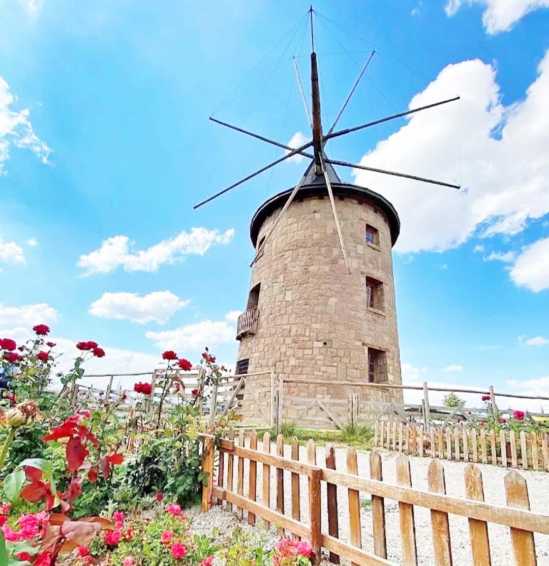 D6023F4E 78A7 4Fe5 8Eed Ab17Be422435