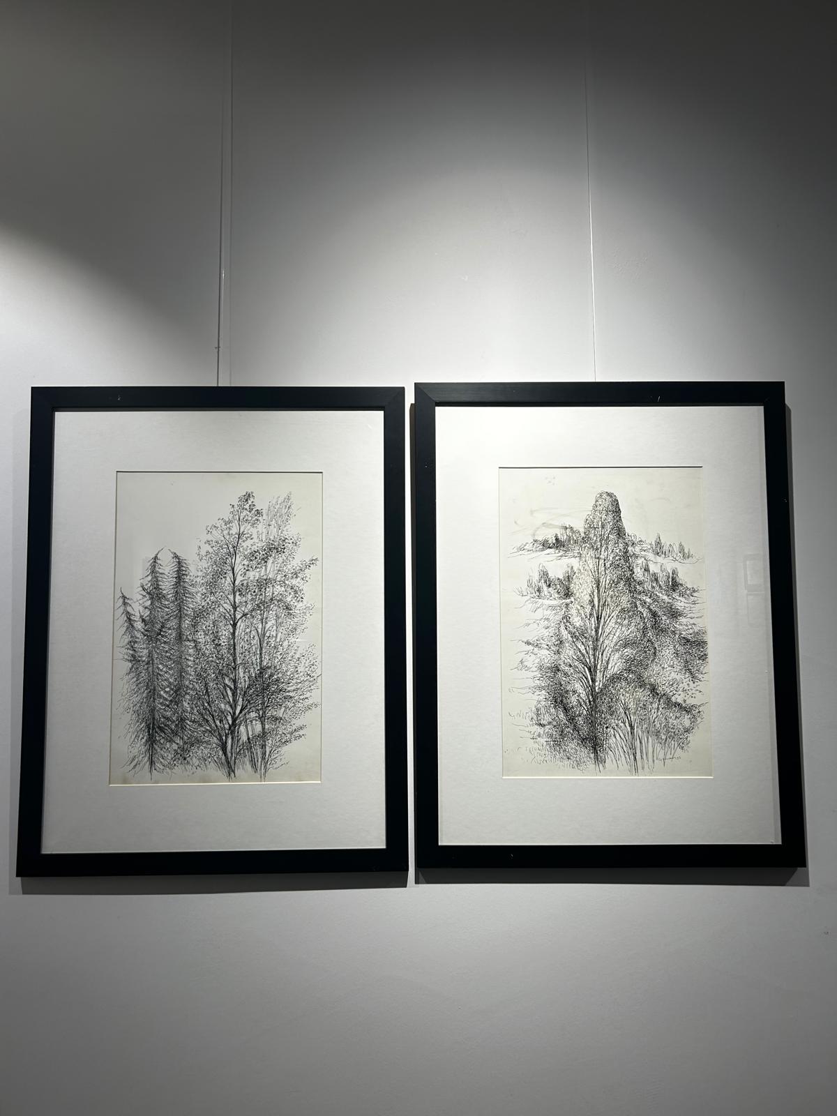 Whatsapp Image 2026 02 17 At 21.47.55-1