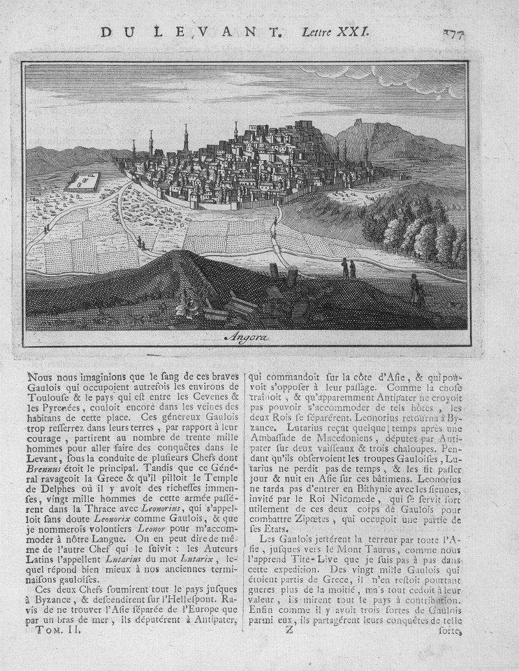 Whatsapp Image 2026 02 21 At 19.29.05-1