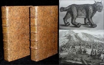 Whatsapp Image 2026 02 21 At 19.31.33