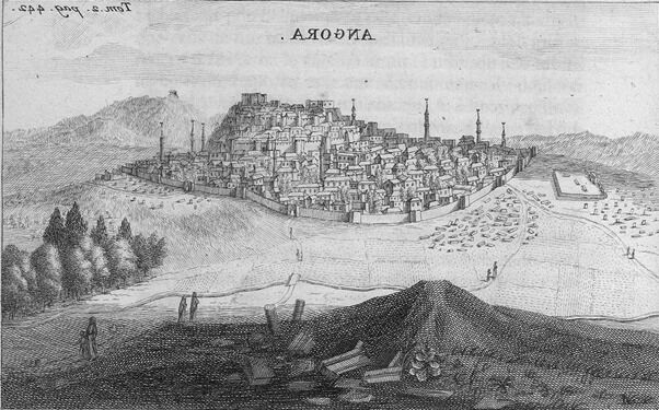 Whatsapp Image 2026 02 21 At 19.34.49-1