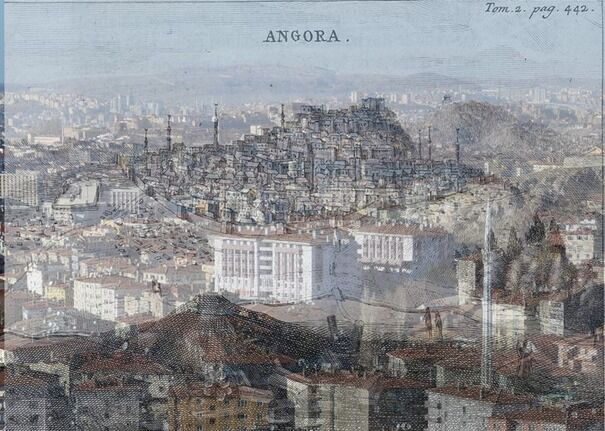 Whatsapp Image 2026 02 21 At 19.37.16