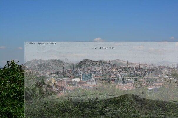 Whatsapp Image 2026 02 21 At 19.38.54-1