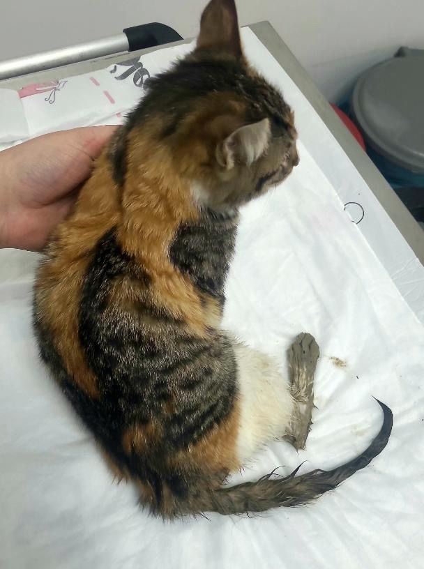 Whatsapp Image 2026 02 23 At 11.45.52-1