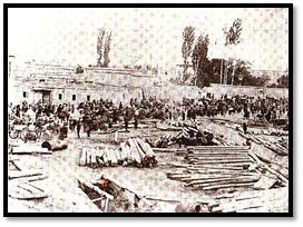 B3764411 92A6 4A9C B496 81200E4Cc76F