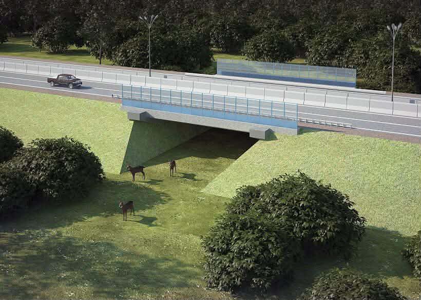 Fd584585 1Cf8 4D7C 94F3 80080512B012