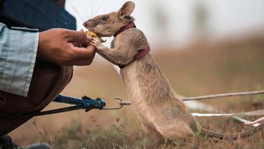 P H O T O 2026 03 18 11 54 51