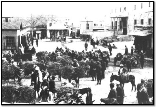 Whatsapp Image 2026 03 15 At 10.45.05-1