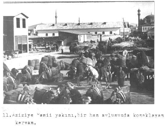 Whatsapp Image 2026 03 15 At 10.45.05