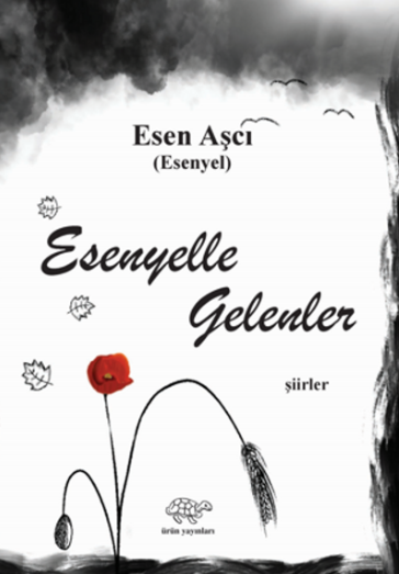 Ekran Görüntüsü (867)-1