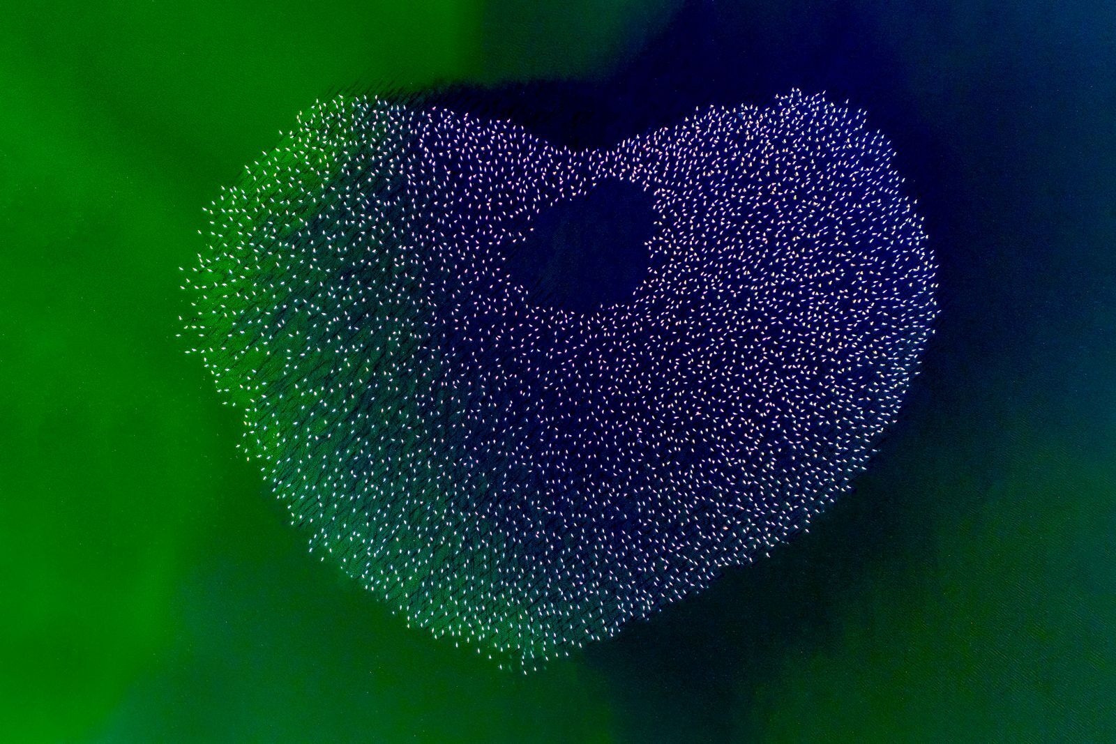 Whatsapp Image 2026 04 02 At 12.24.16