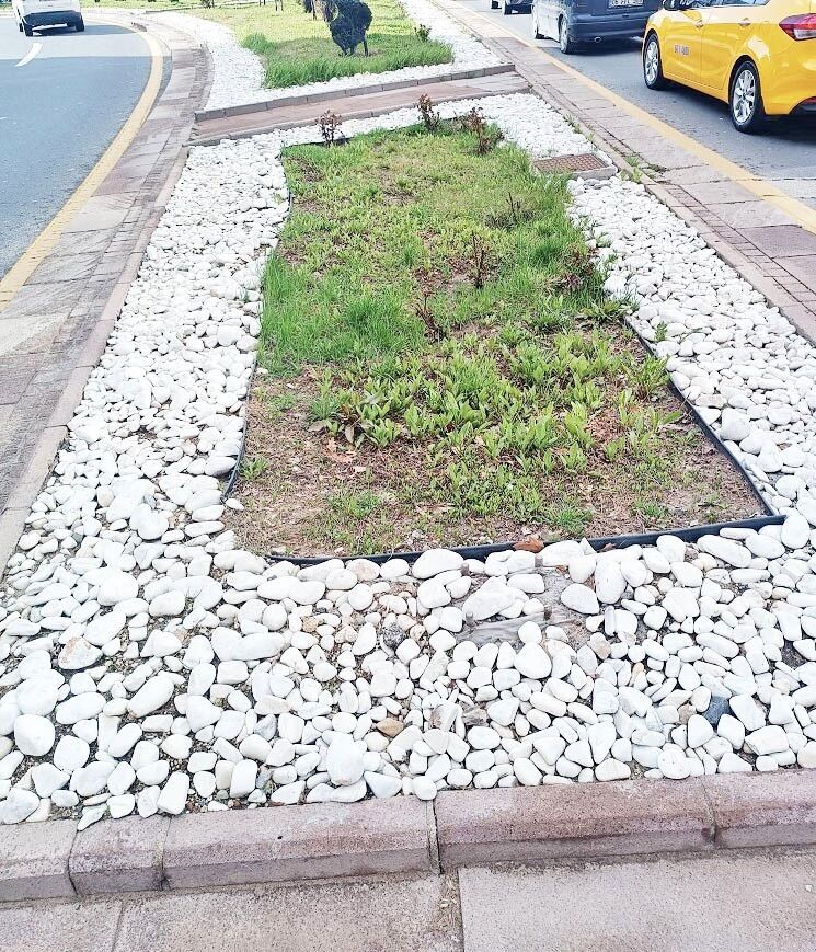 Whatsapp Image 2026 04 08 At 16.21.37-1