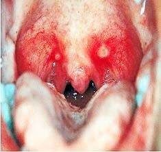 Whatsapp Image 2026 04 12 At 15.42.27 (1)