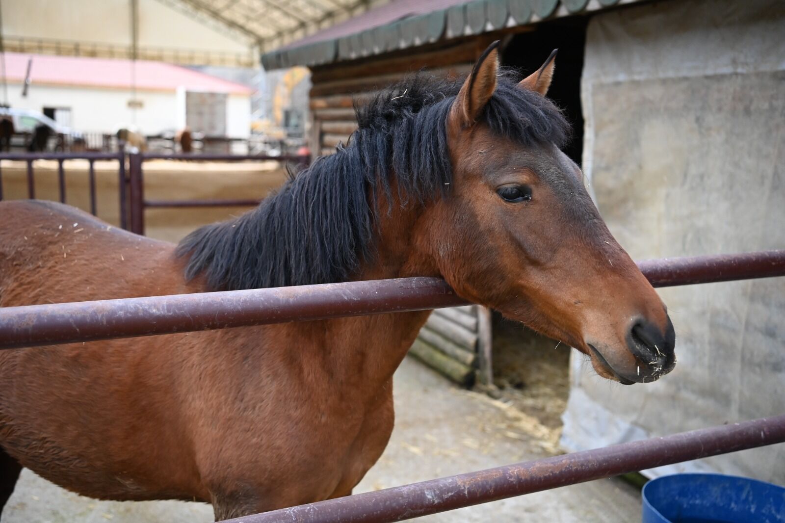 Whatsapp Image 2026 04 13 At 12.50.03 (1)