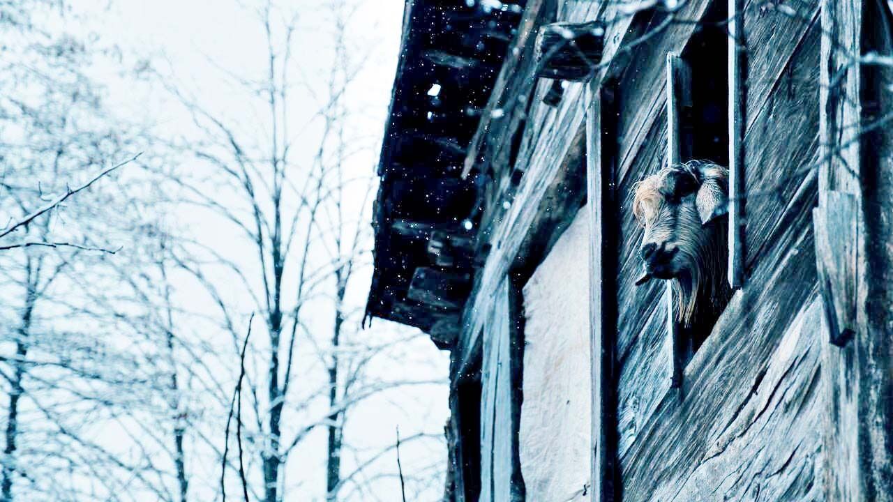 Whatsapp Image 2026 04 17 At 16.33.41 (1)