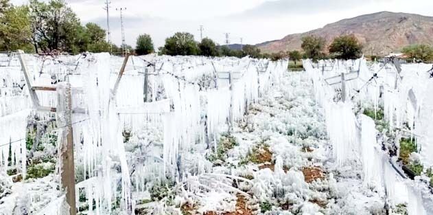 Whatsapp Image 2026 04 20 At 13.08.30 (1)