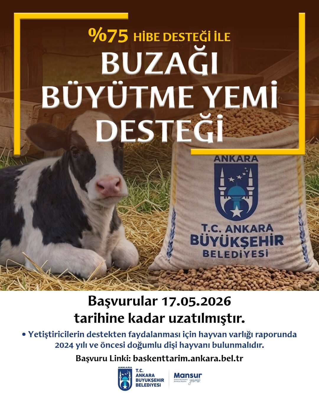 Buzağı Yem