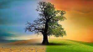 Images-17
