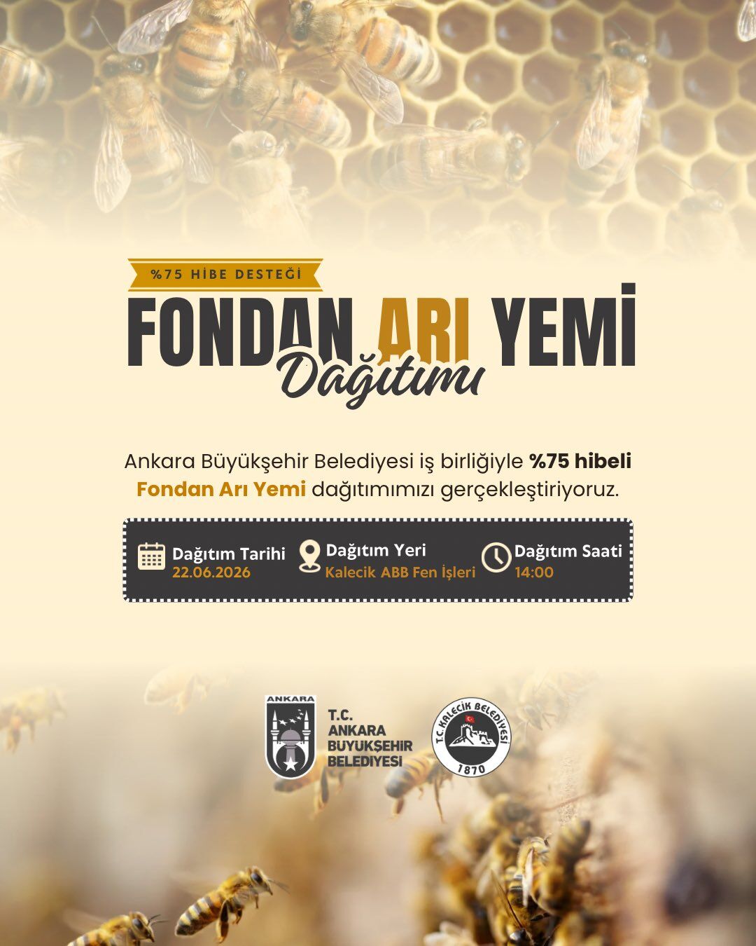 Kalecik’te Arıcılara %75 Hibeli Arı Yemi Desteği