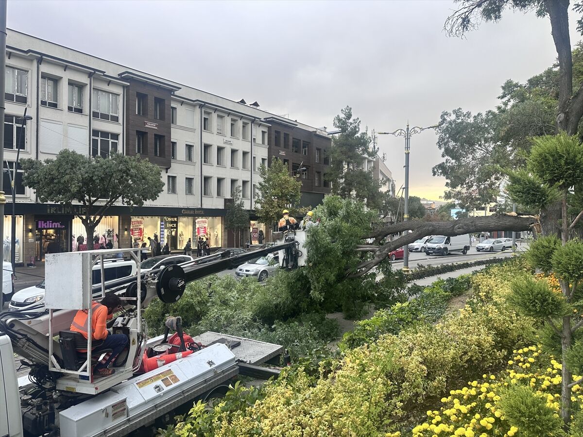 Konya’da fırtına ağacı devirdi: 10 yaşındaki çocuk yaralandı