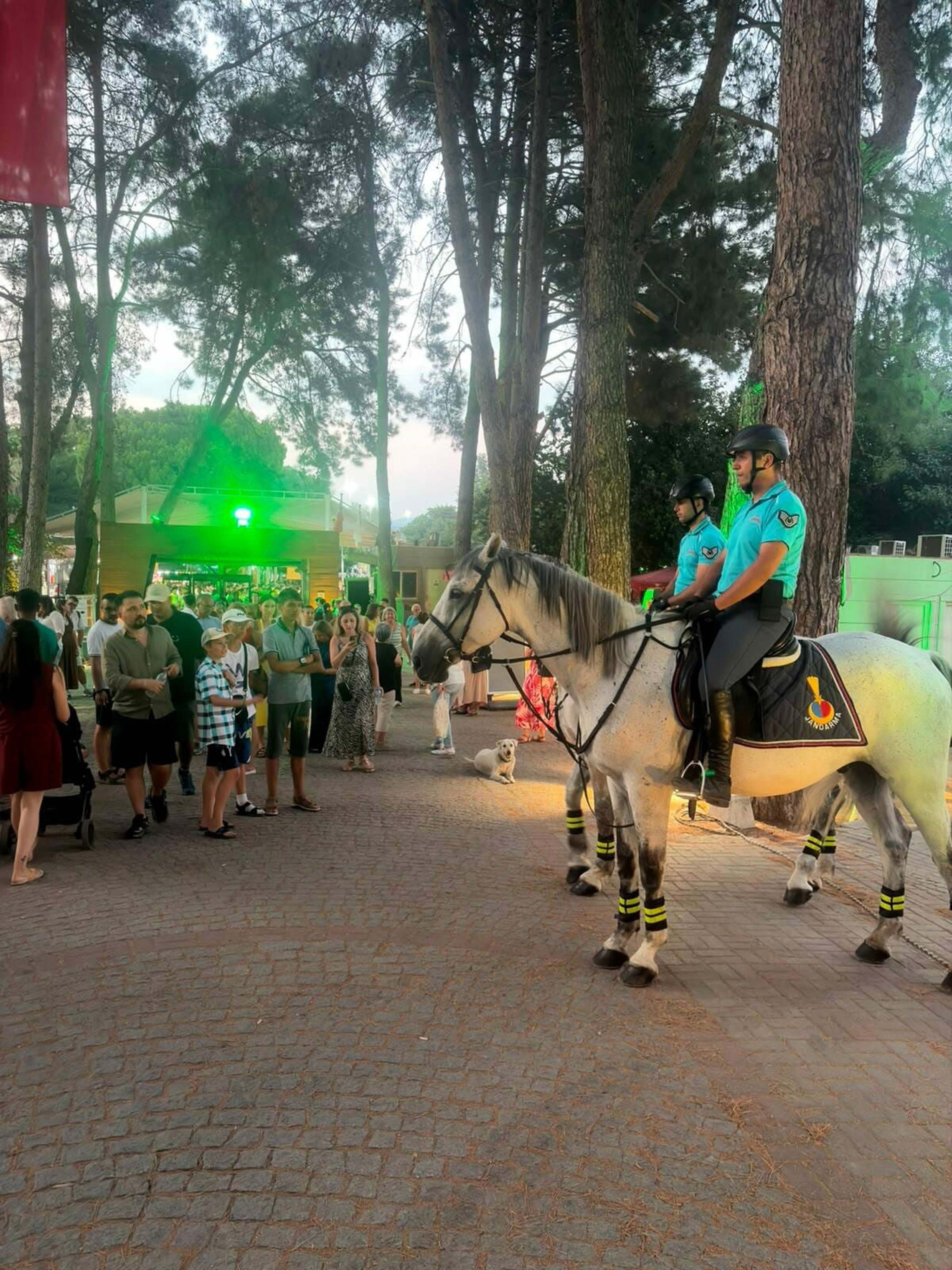 İzmir’de atlı jandarma birlikleri 12 ilçede görev başında