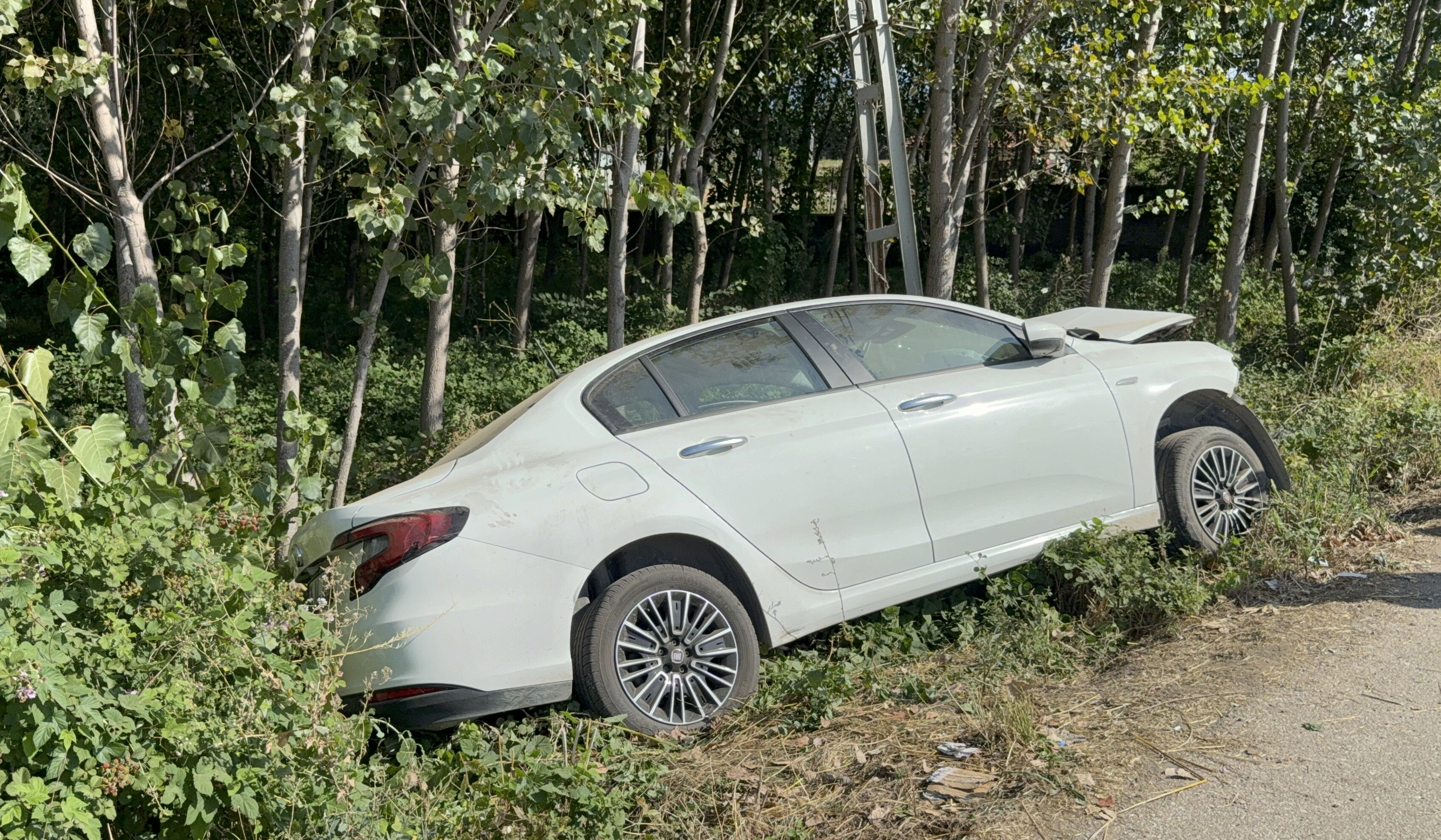 Otomobil, elektrik direğine çarptı 1 ölü