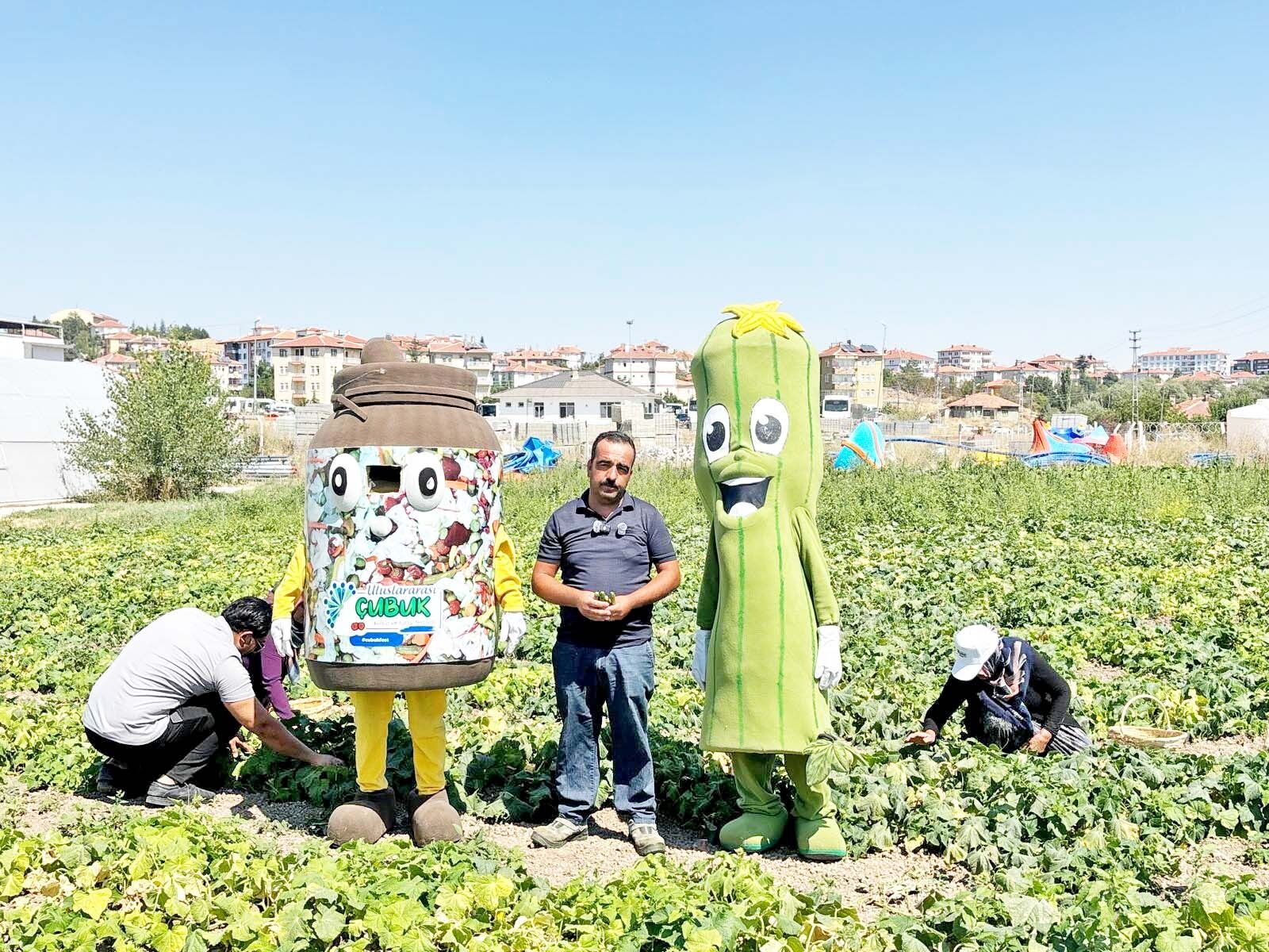 Çubuk-1